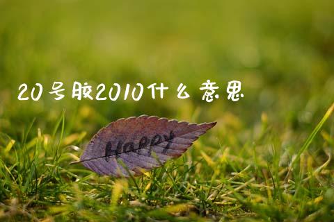 20号胶2010什么意思_https://wap.78312.cn_财经新闻_第1张
