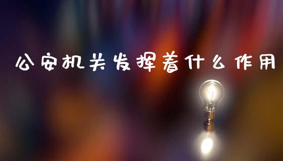公安机关发挥着什么作用_https://wap.78312.cn_期货开户_第1张