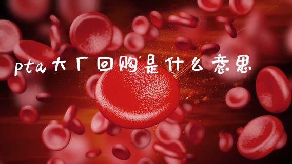 pta大厂回购是什么意思_https://wap.78312.cn_全球市场_第1张