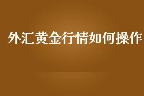 外汇黄金行情如何操作_https://wap.78312.cn_金融监管_第1张