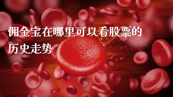佣金宝在哪里可以看股票的历史走势_https://wap.78312.cn_外汇交易_第1张