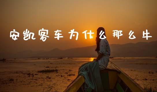 安凯客车为什么那么牛_https://wap.78312.cn_财经新闻_第1张