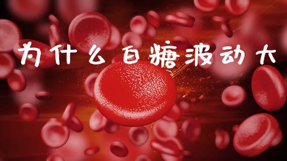 为什么白糖波动大_外汇交易_第1张_期货开户_金融监管_外汇交易_债券资讯_全球市场_财经新闻 为什么白糖波动大_https://wap.78312.cn_外汇交易_第1张