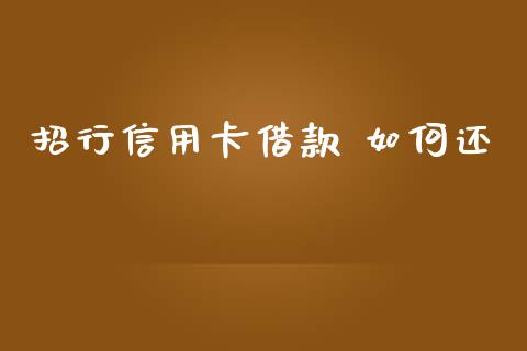招行信用卡借款 如何还_https://wap.78312.cn_外汇交易_第1张