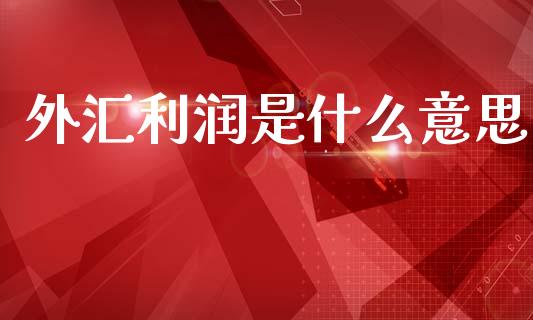 外汇利润是什么意思_https://wap.78312.cn_债券资讯_第1张