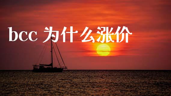 bcc 为什么涨价_https://wap.78312.cn_期货开户_第1张