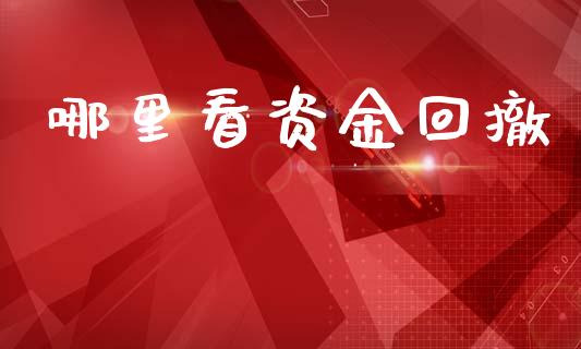 哪里看资金回撤_https://wap.78312.cn_外汇交易_第1张