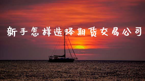 新手怎样选择期货交易公司_https://wap.78312.cn_财经新闻_第1张
