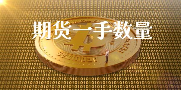 期货一手数量_https://wap.78312.cn_期货开户_第1张