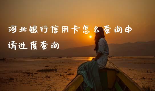 河北银行信用卡怎么查询申请进度查询_https://wap.78312.cn_财经新闻_第1张