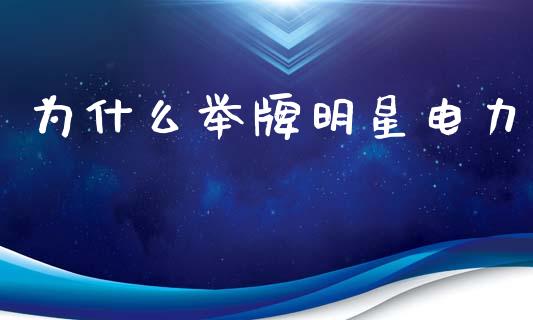 为什么举牌明星电力_https://wap.78312.cn_财经新闻_第1张