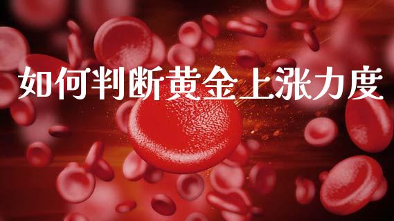 如何判断黄金上涨力度_https://wap.78312.cn_期货开户_第1张