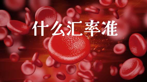 什么汇率准_https://wap.78312.cn_财经新闻_第1张