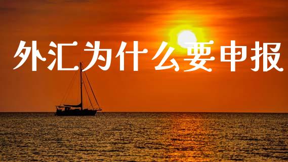 外汇为什么要申报_https://wap.78312.cn_期货开户_第1张