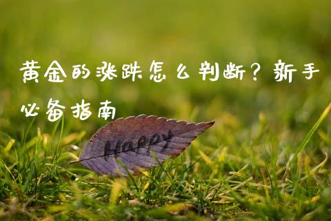 黄金的涨跌怎么判断？新手必备指南_https://wap.78312.cn_期货开户_第1张