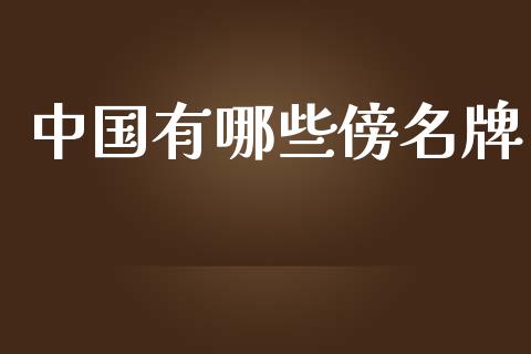 中国有哪些傍名牌_外汇交易_第1张_期货开户_金融监管_外汇交易_债券资讯_全球市场_财经新闻 中国有哪些傍名牌_https://wap.78312.cn_外汇交易_第1张