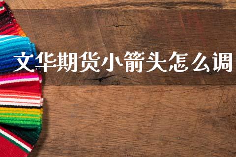 文华期货小箭头怎么调_https://wap.78312.cn_金融监管_第1张
