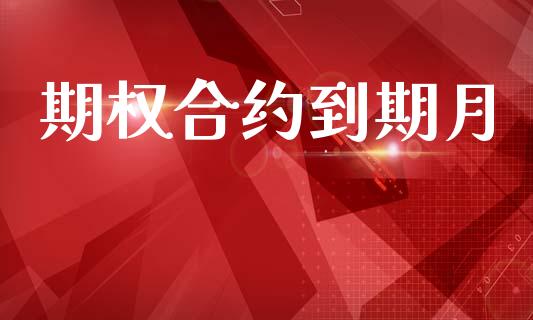 期权合约到期月_https://wap.78312.cn_债券资讯_第1张