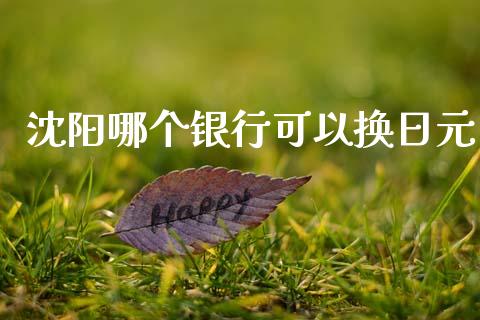 沈阳哪个银行可以换日元_https://wap.78312.cn_财经新闻_第1张