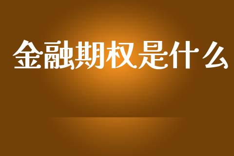 金融期权是什么_https://wap.78312.cn_期货开户_第1张