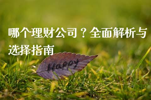 哪个理财公司？全面解析与选择指南_https://wap.78312.cn_债券资讯_第1张