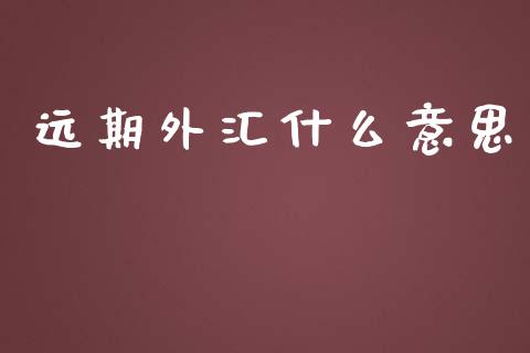 远期外汇什么意思_https://wap.78312.cn_财经新闻_第1张