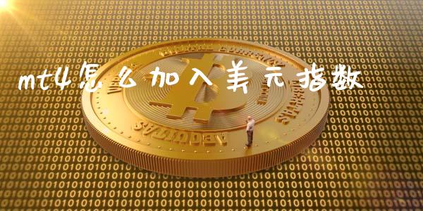mt4怎么加入美元指数_https://wap.78312.cn_全球市场_第1张