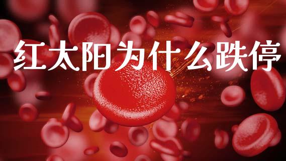 红太阳为什么跌停_https://wap.78312.cn_金融监管_第1张
