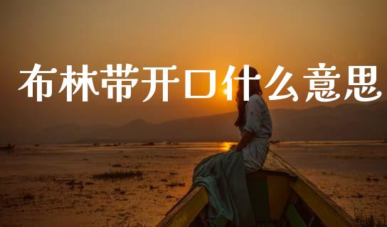 布林带开口什么意思_https://wap.78312.cn_外汇交易_第1张