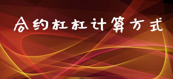 合约杠杠计算方式_https://wap.78312.cn_金融监管_第1张