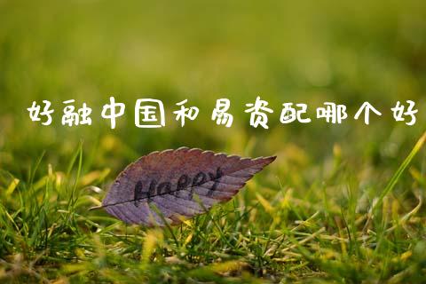 好融中国和易资配哪个好_https://wap.78312.cn_债券资讯_第1张