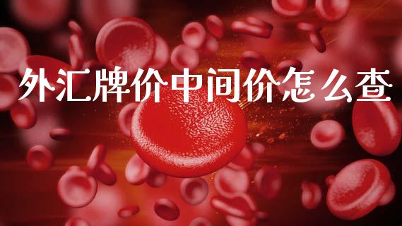 外汇牌价中间价怎么查_https://wap.78312.cn_期货开户_第1张