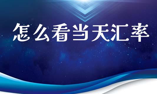 怎么看当天汇率_https://wap.78312.cn_外汇交易_第1张