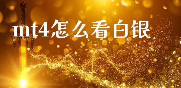 mt4怎么看白银_https://wap.78312.cn_期货开户_第1张