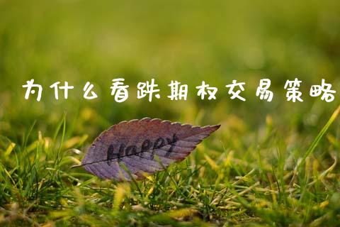 为什么看跌期权交易策略_https://wap.78312.cn_债券资讯_第1张