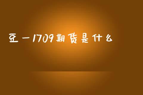 豆一1709期货是什么_https://wap.78312.cn_财经新闻_第1张