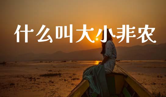 什么叫大小非农_https://wap.78312.cn_债券资讯_第1张