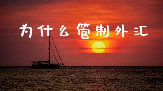为什么管制外汇_https://wap.78312.cn_全球市场_第1张