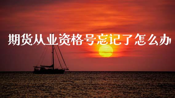 期货从业资格号忘记了怎么办_https://wap.78312.cn_金融监管_第1张