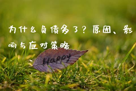为什么负债多了？原因、影响与应对策略_https://wap.78312.cn_全球市场_第1张