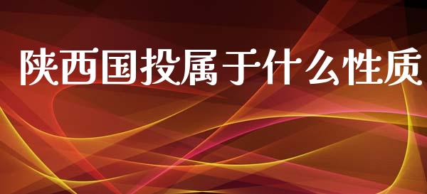 陕西国投属于什么性质_https://wap.78312.cn_外汇交易_第1张