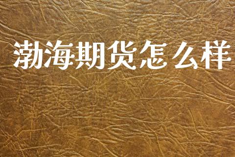 渤海期货怎么样_https://wap.78312.cn_金融监管_第1张