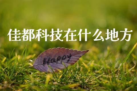 佳都科技在什么地方_https://wap.78312.cn_债券资讯_第1张