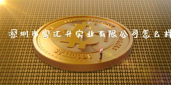 深圳市富汇升实业有限公司怎么样_https://wap.78312.cn_全球市场_第1张