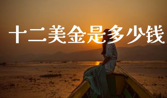 十二美金是多少钱_https://wap.78312.cn_金融监管_第1张