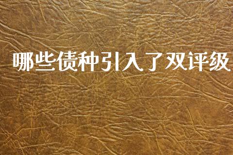 哪些债种引入了双评级_https://wap.78312.cn_全球市场_第1张