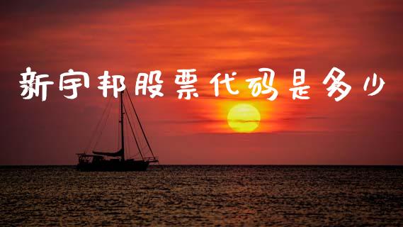 新宇邦股票代码是多少_https://wap.78312.cn_外汇交易_第1张