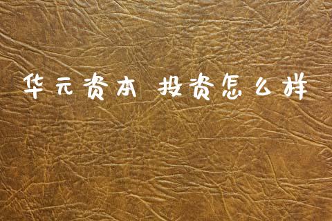华元资本 投资怎么样_https://wap.78312.cn_财经新闻_第1张