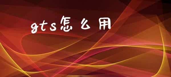 gts怎么用_https://wap.78312.cn_金融监管_第1张