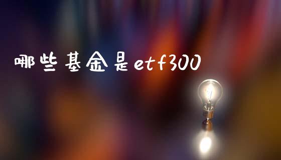 哪些基金是etf300_财经新闻_第1张_期货开户_金融监管_外汇交易_债券资讯_全球市场_财经新闻 哪些基金是etf300_https://wap.78312.cn_财经新闻_第1张